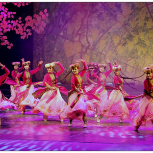 正当玫瑰花盛开的时候