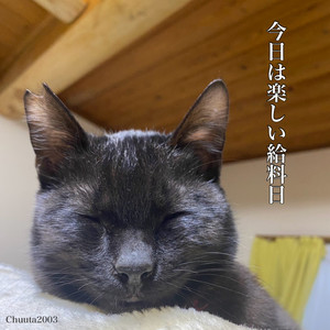 今日は楽しい給料日