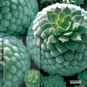 Inertia