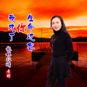 我成了你生命过客