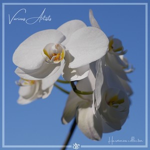 Before the Earth Breaks Out