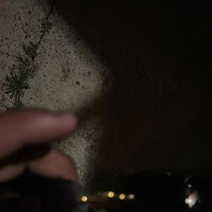 Stopin Dat Whip (Explicit)