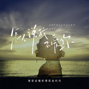 怎么说我不爱你 (享那些愉悦得那些忧伤)