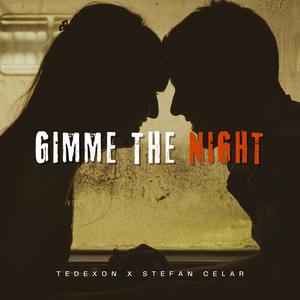 Gimme The Night (feat. Stefan Celar)