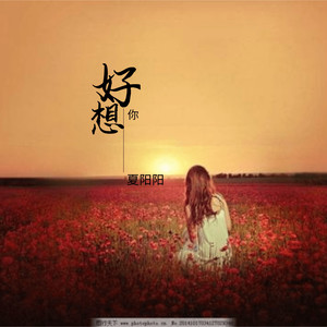 好想你 (伴奏)