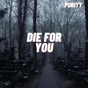 DIE FOR YOU