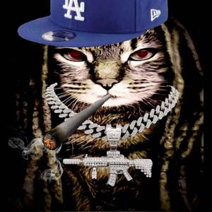 percs n shi (Explicit)