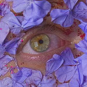 Sguardi(feat. Per$y & nxtte) (Explicit)