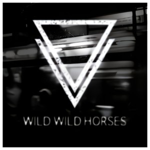 Wild Wild Horses - Youth
