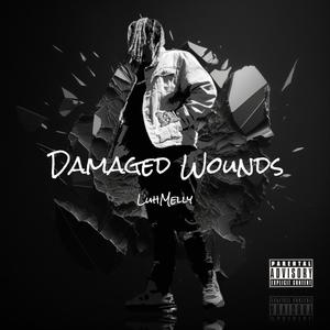 Damaged Wounds (Explicit)