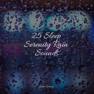 25 Sleep Serenity Rain Sounds