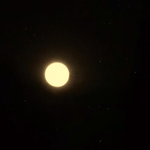 Venus
