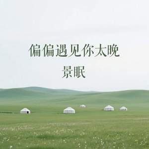 偏偏遇见你太晚