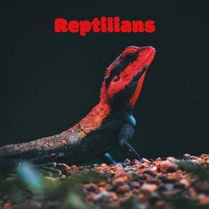 Reptilians Must Die