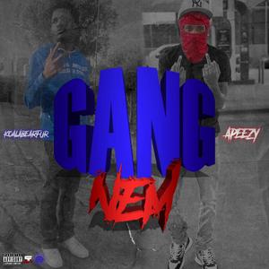 Gang Nem (feat. KoalaBearFur) [Explicit]