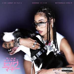 Pink Money (Explicit)