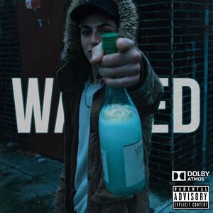 WASTED (feat. SHT3TS 4RTEM) [Explicit]