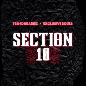 Section 10