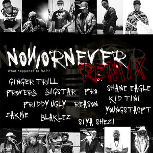 Now Or Never (feat. Ginger Trill, Youngsta CPT, Kid Tini, Proverb, Zakwe, Priddy Ugly, Blacklez, Pro, Shane Eagle, Big Star, Reason and Siya Shezi) (Remix)