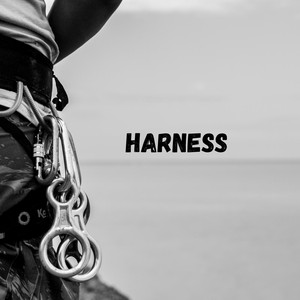 Harness