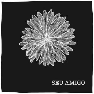 Seu Amigo (feat. Luciano fagundes)