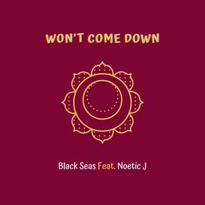 Won't Come Down (feat. Noetic J) [Explicit]