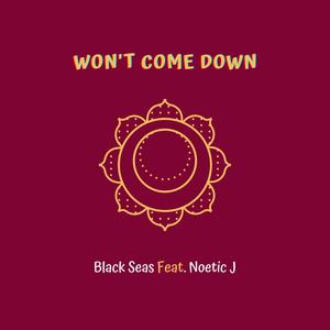 Won't Come Down(feat. Noetic J) (Explicit)