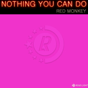 Nothing You Can Do (House Version)