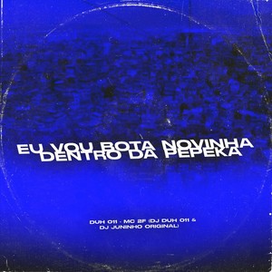 EU VOU BOTA NOVINHA DENTRO DA PEPEKA (Explicit)