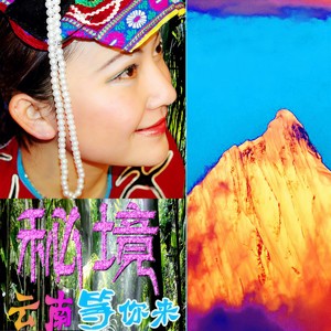 木叶轻轻吹