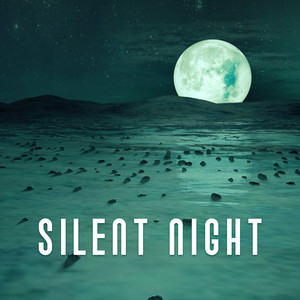 silent night - healing therapy for sleeping problems, night time