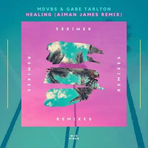 Healing (Aiman James Remix)