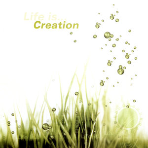 Life is…Creation