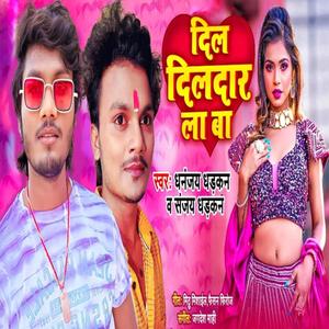 Vikasya - Dil DIldar La Ba (feat. Dhananjay Dhadkan)