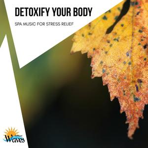 Detoxify Your Body - Spa Music for Stress Relief