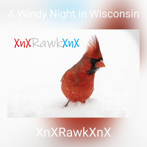 A Windy Night in Wisconsin (XnXclusive VIP Mix)