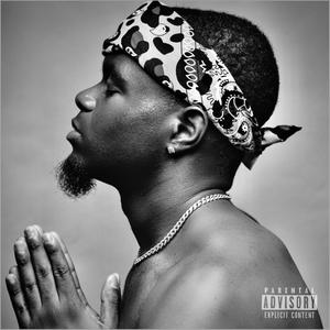 **** The Law (Explicit)