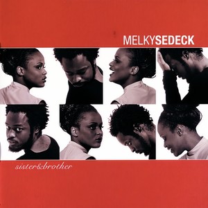 Shake It (Album Version)
