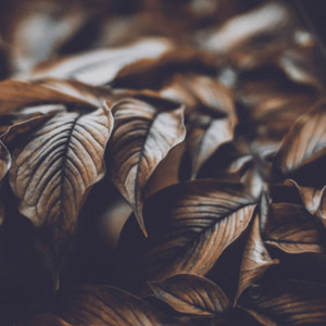 dj aboba 3 (Explicit)