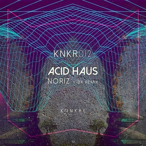 Acid Haus (IBX Remix)