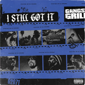 Gangsta Grillz: I Still Got It (Explicit)
