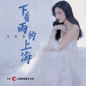 下着雨的上海