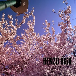 benzo high