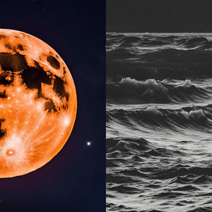 This Town Was Too Small for Us