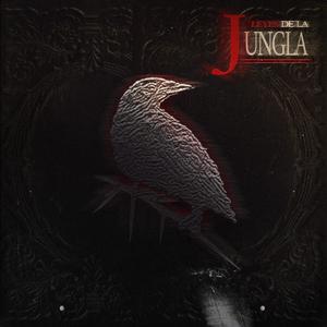 LEYES DE LA JUNGLA (Explicit)