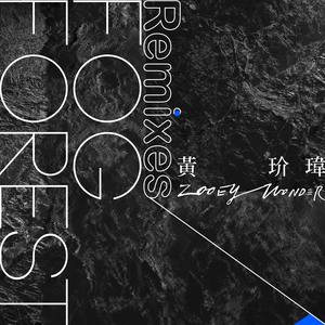 黄玠玮 - Fog Forest (Scott Damn Remix)