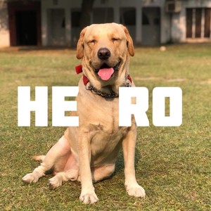 Hero