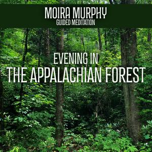 Guided Meditation: Evening In The Appalachian Forest