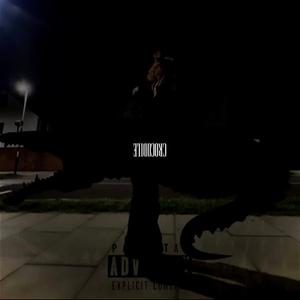 CROCODILE (feat. N4T) (Explicit)