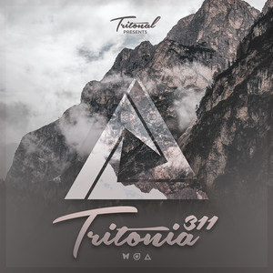 In And Out Of Love(Tritonia 311) (ilan Bluestone & Maor Levi Remix)